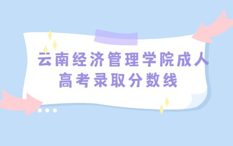 云南经济管理学院成人高考录取分数线