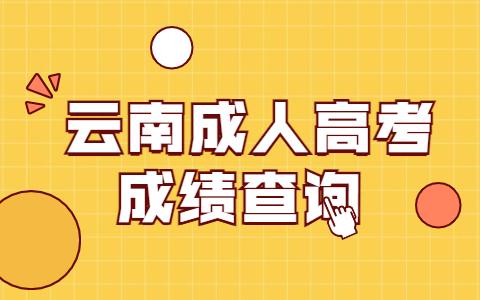 云南成人高考成绩查询时间
