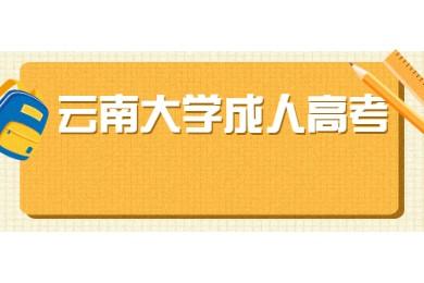 云南大学专升本录取分数线