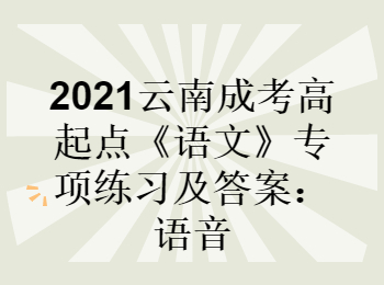 云南成考
