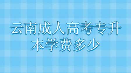 云南成人高考专升本学费