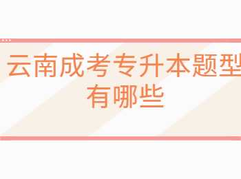 云南成考