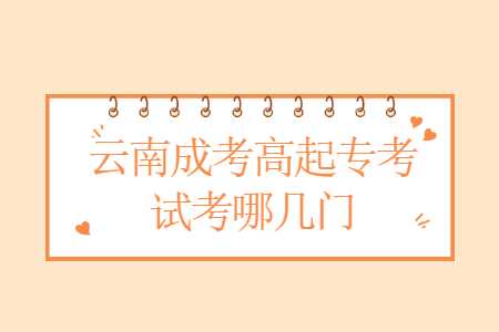 云南成考