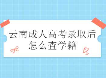 云南成人高考