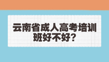 云南省成人高考培训班