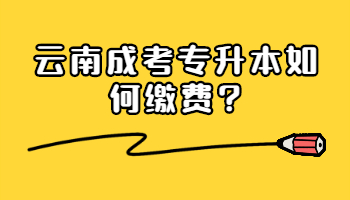 云南成考专升本如何缴费