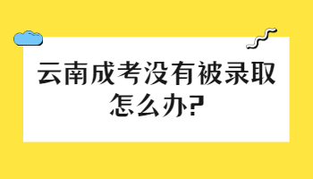 云南成考没有被录取怎么办