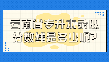 云南省专升本录取分数线