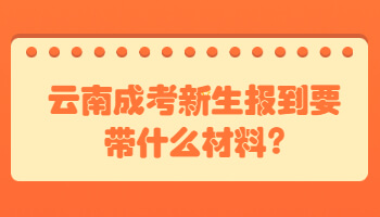 云南成考新生报到