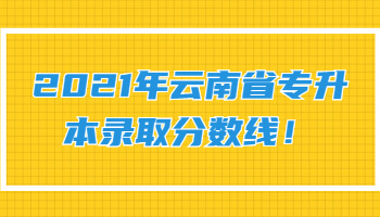 云南省专升本录取分数线