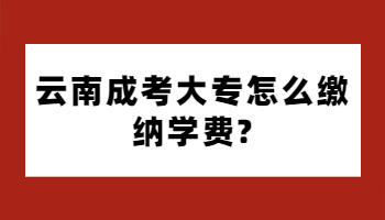 云南成考大专怎么缴纳学费