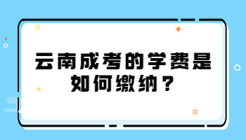 云南成考的学费是如何缴纳