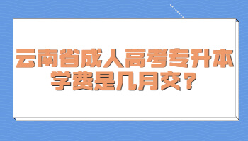 云南省成人高考专升本学费