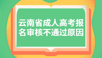 云南省成人高考报名审核