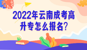 2022年云南成考高升专