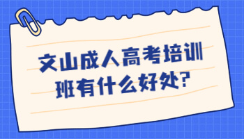 文山成人高考培训