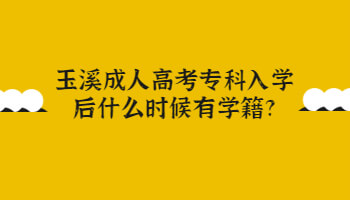 玉溪成人高考专科