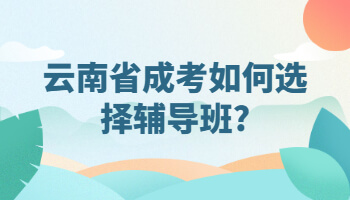 云南省成考如何选择辅导班