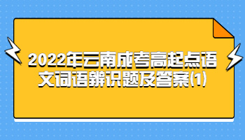 云南成考高起点语文词语辨识题