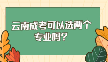 云南成考可以选两个专业吗