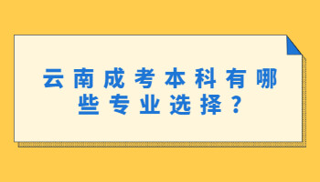 成考本科有哪些专业选择