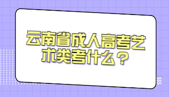 云南省成人高考艺术类考什么