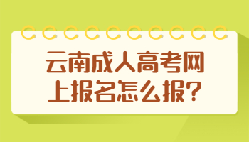 云南成人高考网上报名