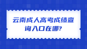 云南成人高考成绩查询