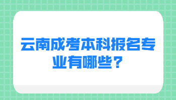 云南成考本科报名专业