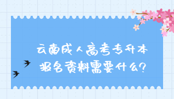 云南成人高考专升本报名资料