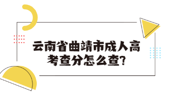 云南省曲靖市成人高考查分