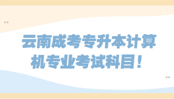 云南成考专升本计算机专业