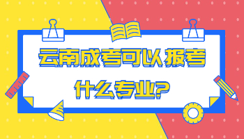 云南成考可以报考什么专业