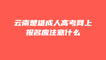 云南楚雄成人高考网