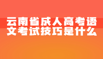 云南省成人高考语文考试技巧是什么?