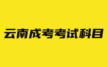 2024年云南成考考试科目考几门？