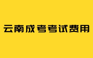 2024年云南成考考试费是多少？