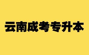 云南成考专升本与专本套读有什么区别？