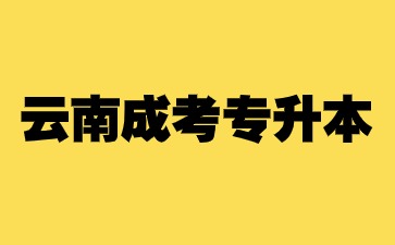 云南成人高考专升本录取分数线是多少？