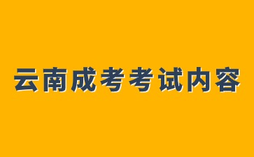 2024年云南成人高考高起点考试内容