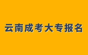 2024年云南成考大专报名院校有哪些？