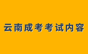 2024年云南成考考试大纲内容分析