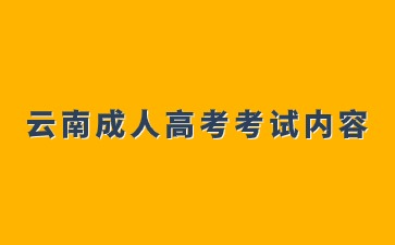 2024年云南成人高考医学专业考试内容说明
