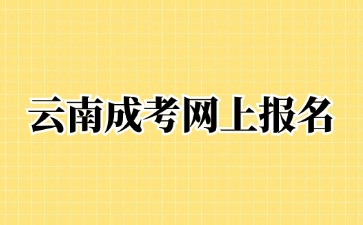 2024年云南成考网上报名可以进行补报吗？