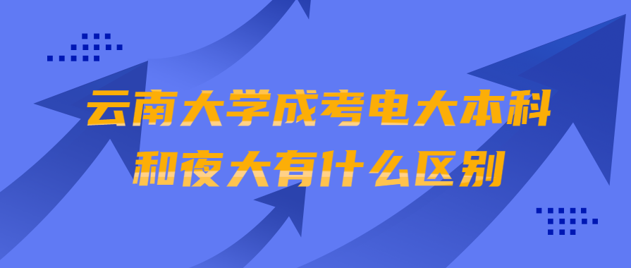 云南大学成考电大本科和夜大有什么区别