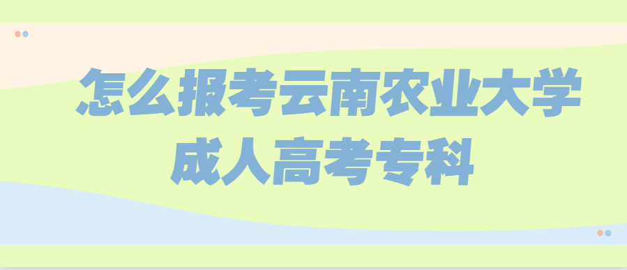 怎么报考云南农业大学成人高考专科