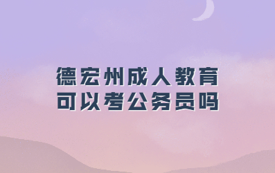 德宏州成人教育可以考公务员吗