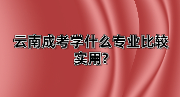 云南成考学什么专业比较实用?
