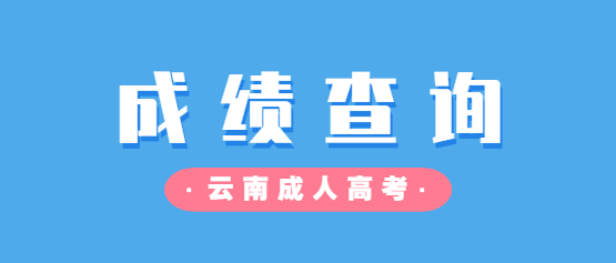 2021年云南成人高考成绩查询入口