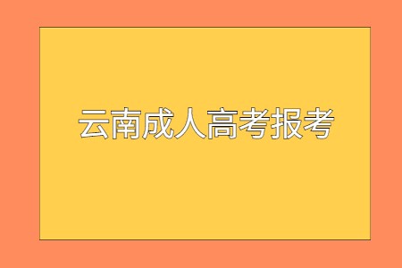 云南成人高考报考